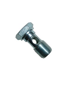 TORNILLO ORIENTABLE  BSP INOX