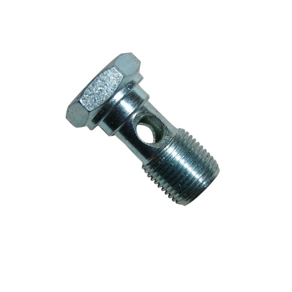 TORNILLO ORIENTABLE  BSP INOX